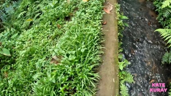 trip to the waterfall in indonesia - bali island. Magical path into the unknown