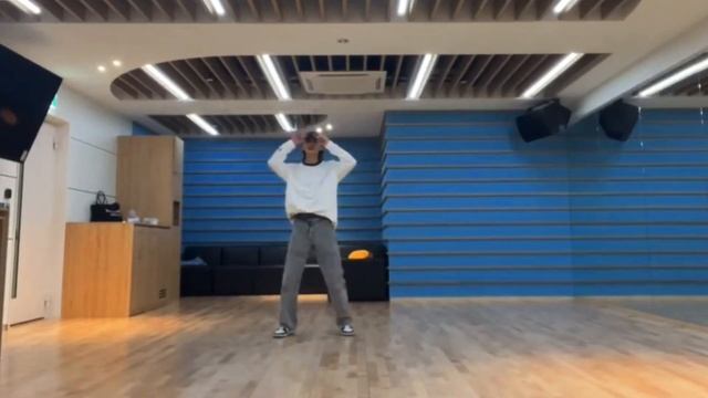 Stray Kids(Hyunjin) “Charmer“ Dance Practice Video