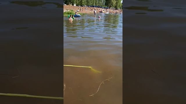 ЛОВИМ ЩУКУ. РЫБАК. КАК ЛОВИТЬ РЫБУ СОЧКОМ. ЛОВИМ РЫБУ. ДЕТИ НА РЫБАЛКЕ.??? смотреть онлайн