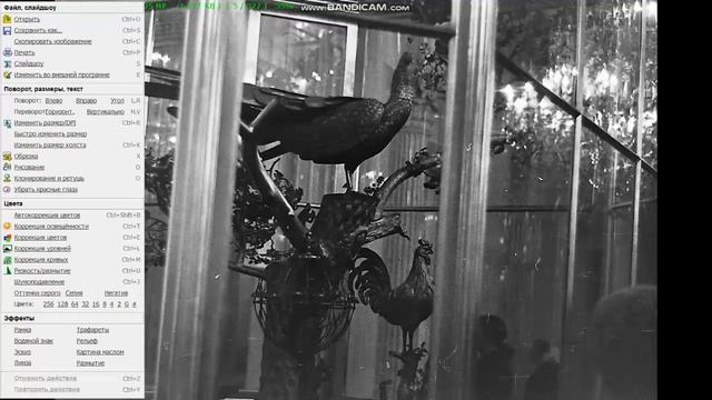 FILM SCANNER обработка негативов смотреть онлайн