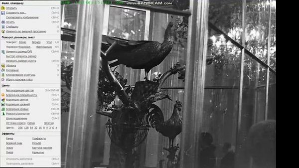 FILM SCANNER обработка негативов