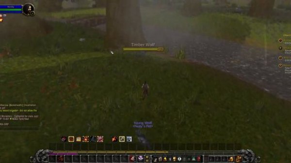 ПЕРВЫЙ ВЗГЛЯД НА ROGELIKE WOW - Random WoW #1 - Project Ascension S7