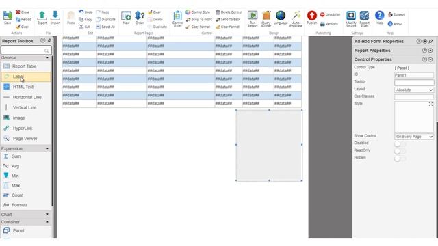 How to use Expression controls in your report using SPARK Reports Builder смотреть онлайн
