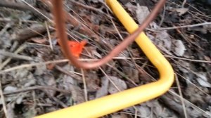 Инфракрасный газовый Обогреватель Ballu BIGH-4