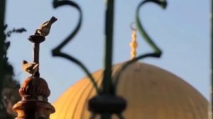 Нашид-Палестина 2021