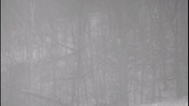 Pulsar Helion XP28 Thermal Monocular смотреть онлайн