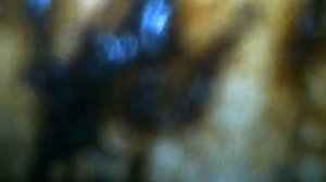 Вентиляция картерных газов Ниссан Кашкай Лукойл 5W 40 Часть1