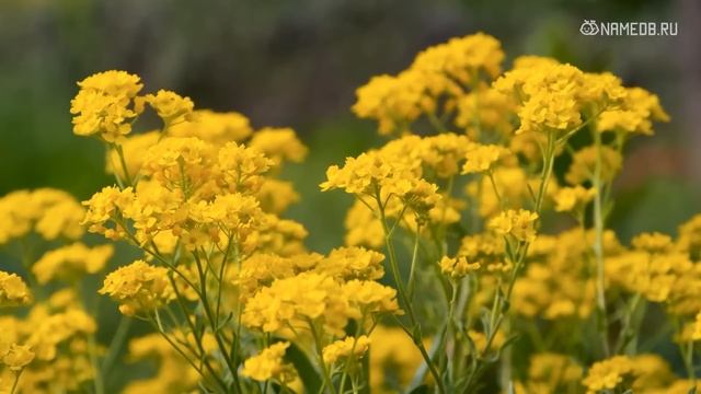 За что могут разлюбить разные знаки Зодиака смотреть онлайн