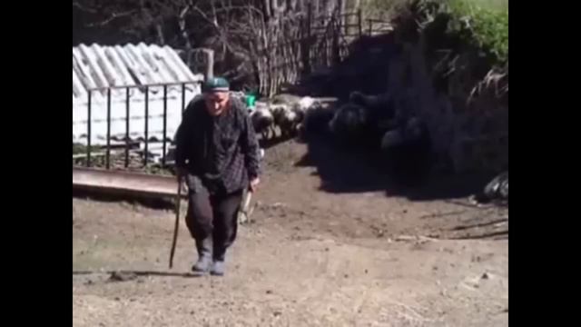 Нохчийн назма - Шарипов Казбек смотреть онлайн