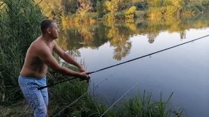 Карповая рыбалка! Ловля карпа на горох с попапом!