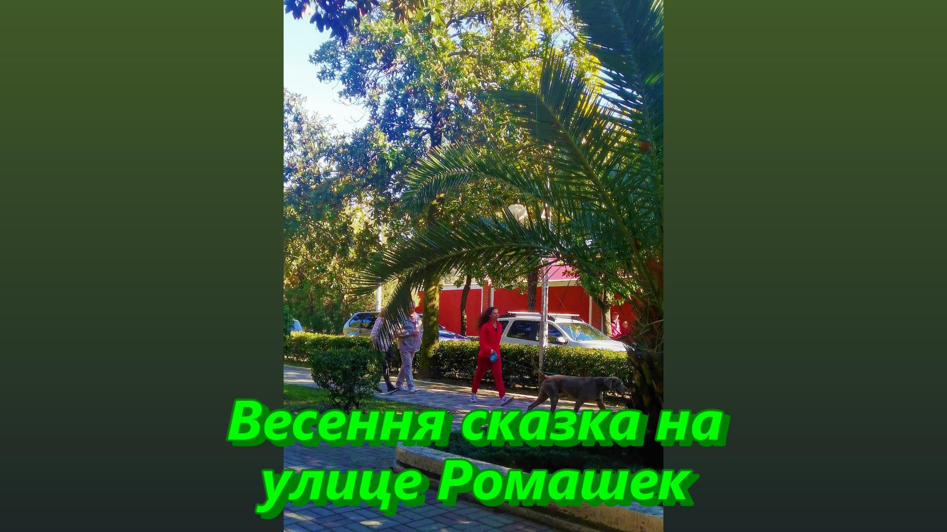 Адлер, город сказка, весной на улице Ромашек смотреть онлайн