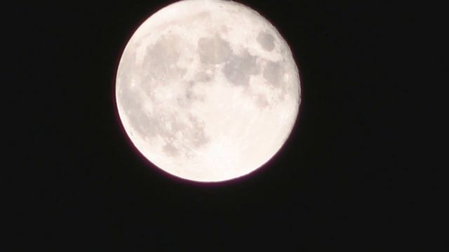 Полнолуние вой волков Суперлуние в Крыму. Full Moon Supermoon wolves howling in the Crimea смотреть онлайн