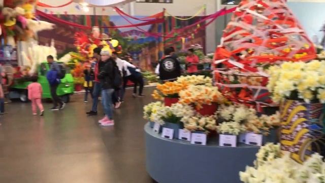 Парк Кёкенхоф Нидерланды - там где море тюльпанов / Keukenhof Park Netherlands - Sea of tulips смотреть онлайн