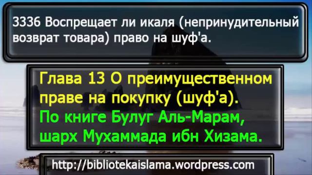 3336 Воспрещает ли икаля непринудительный возврат товара право на шуф'а смотреть онлайн
