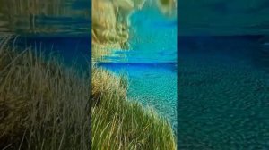 Чистейшая  вода в Исландии #shorts
