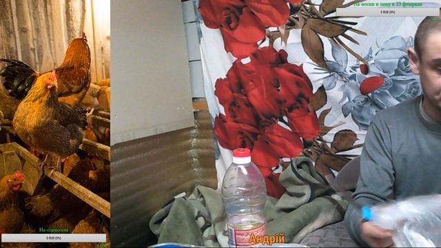 Алабай и куриная пицца 18+ смотреть онлайн