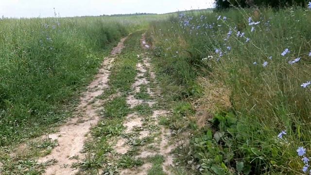 Купил себе велосипед и не пожалел. смотреть онлайн