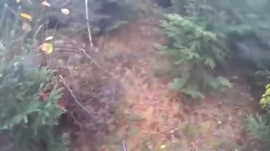 ТОП 5 опасних случаев на охоте на кабана