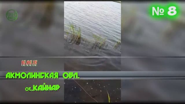 Рыбалка в Казахстане обзор № 62 июнь /Astana/летняя рыбалка смотреть онлайн