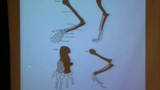 Two Revolutions: Copernicus and Darwin смотреть онлайн