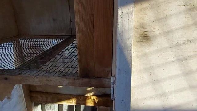 Удобная клетка для кроликов своими руками. Клетки для кроликов великанов. Лучшие полы в клетке. смотреть онлайн