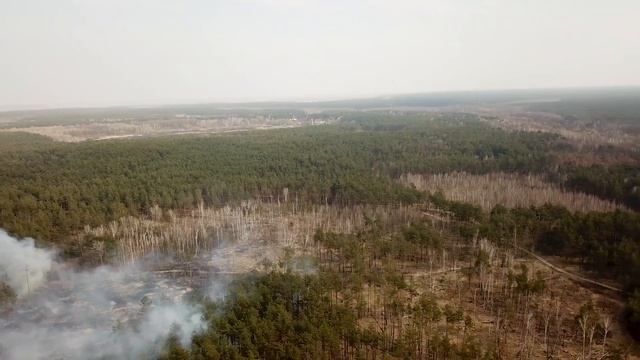 Броварской лес смотреть онлайн