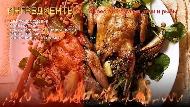 Эксперименты на Плите