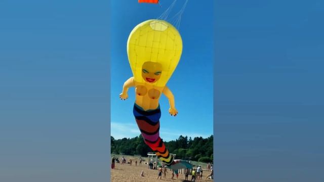 Воздушные змеи на Зелёном заливе смотреть онлайн