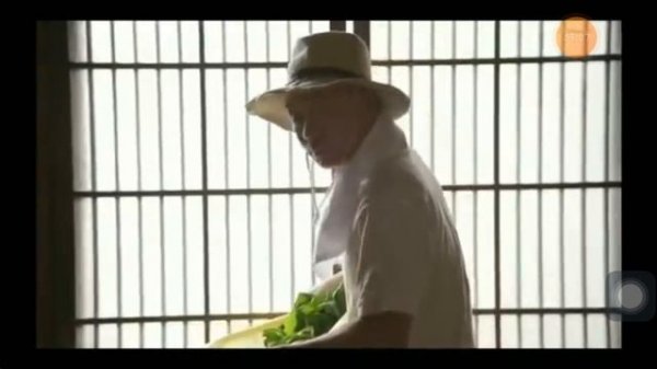 Film semi cucu kakek sange