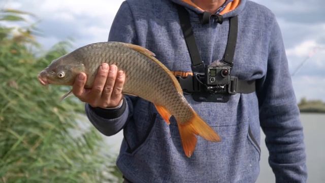 Горох или червь? Дядя Фёдор нашёл лучшую насадку для Дуная! смотреть онлайн