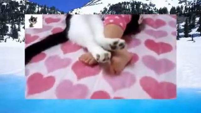 Смешные коты, собаки и дети Веселая подборка видео с животными 2014 смотреть онлайн
