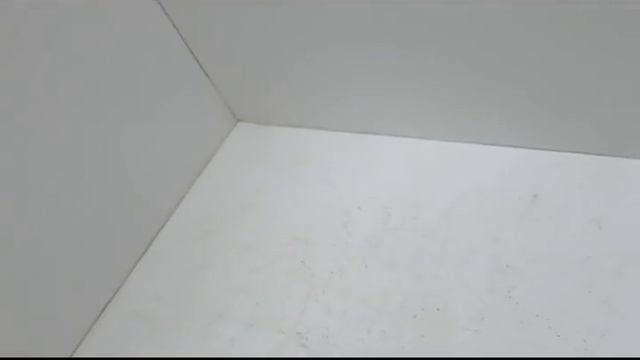 Видео №537590