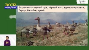 8-класс | География | Особо охраняемые территории. Заповедники КР.