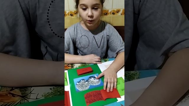 Арина Миськив_ проект "Ушастый ёж" смотреть онлайн