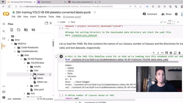 334 - Training custom instance segmentation model using YOLO v8 смотреть онлайн