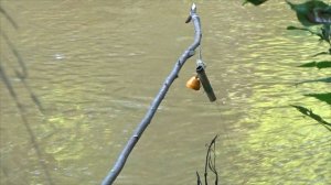 Поймать 100 щук в сентябре! рыболовный сериал