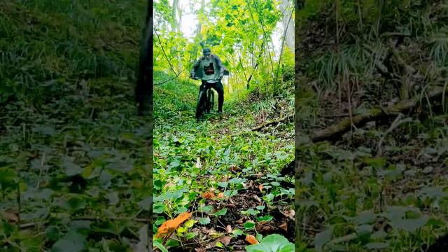 С ветерком)))#short