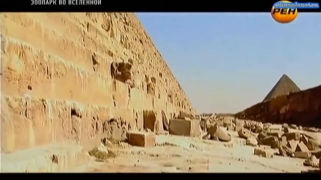 В море нашли человекоподобное создание! Возможно это странное существо из секретной лаборатории смотреть онлайн