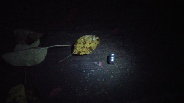 Реактивный эксперимент