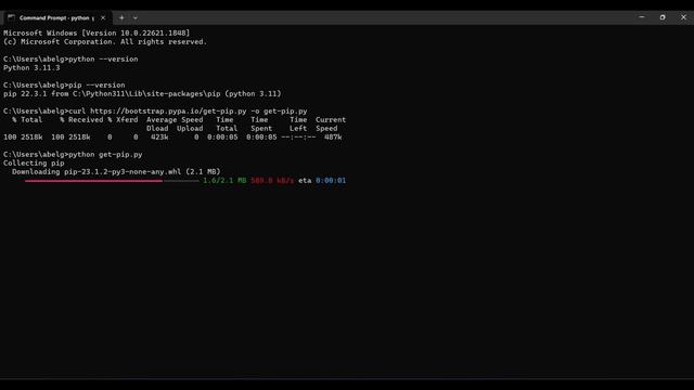 HOW TO INSTALL PIP IN PYTHON (WINDOWS/LINUX/MAC) смотреть онлайн