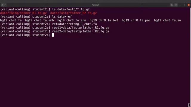 Variant Calling on single samples using freebayes | Germline variants смотреть онлайн