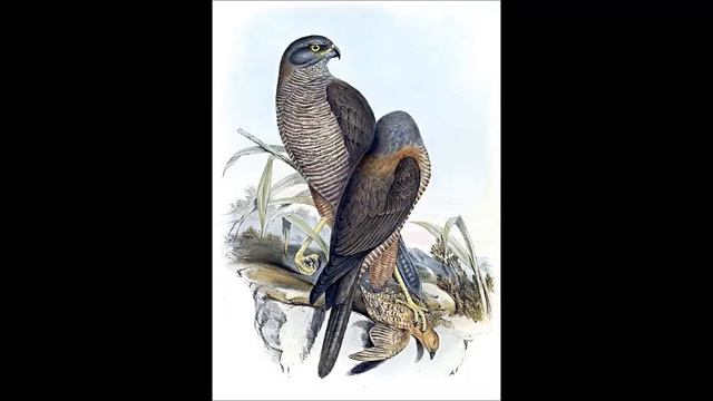 Camillo Felgen Ehrfurcht vor schneeweißen Haaren смотреть онлайн