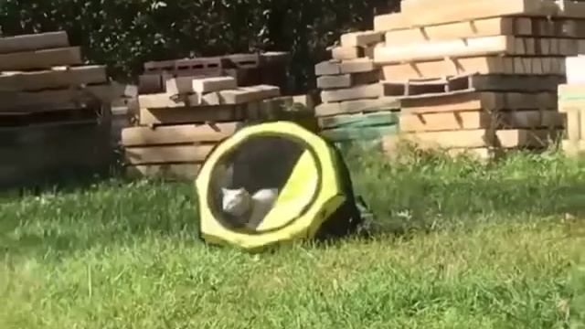 Никогда не сдавайся смотреть онлайн