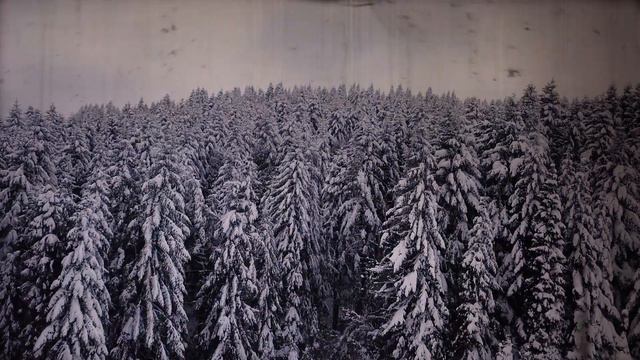 WINTER TURNS ON SPRING // Experimental Ambient/Drone Soundscape, Lyra-8 synth смотреть онлайн