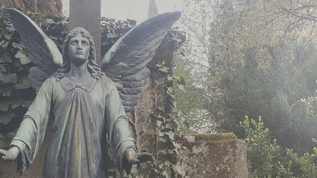 Sinister Seduction - Chrysanthemen (Official Music Video)