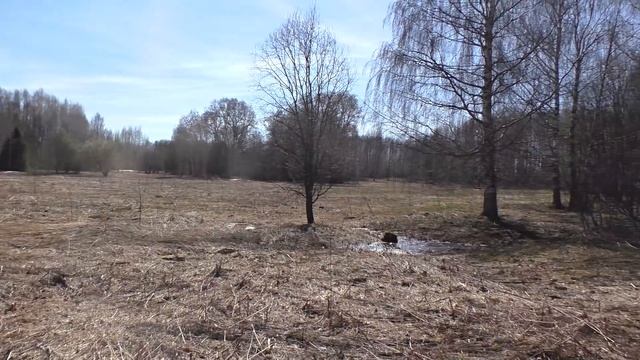 Что там осталось? Остатки поселений вдоль дорог. смотреть онлайн