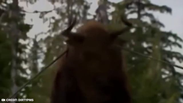 When Extinct Animals Are Being Brought Back to Life смотреть онлайн