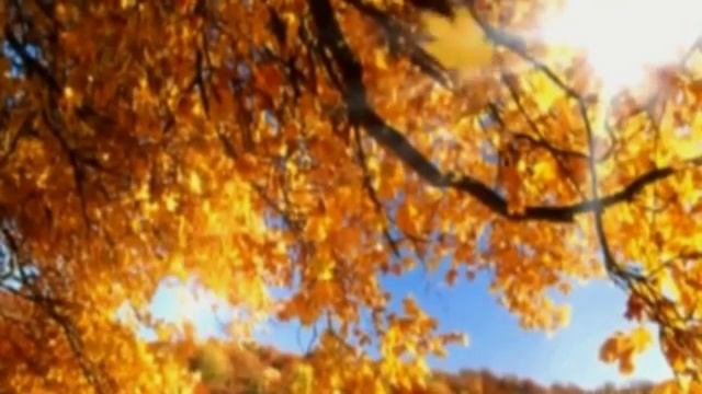 Любимые песни нашего двора. Листья желтые медленно падают Борис Потеряев и Валерий Сергеев.mp4 смотреть онлайн