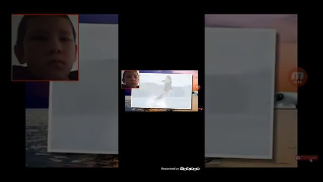 Я сегодня буду смотреть видео под названием "Что если Мегаладон не вымер " смотреть онлайн