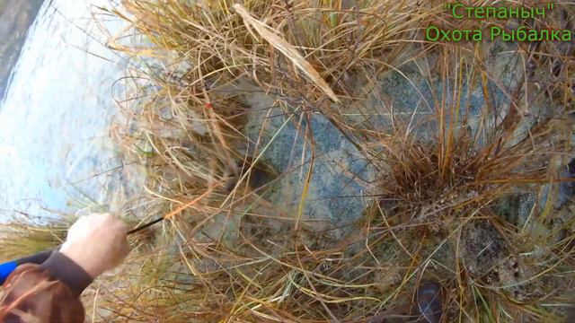 Рябчик Луток и Ленок 24 09 23 смотреть онлайн